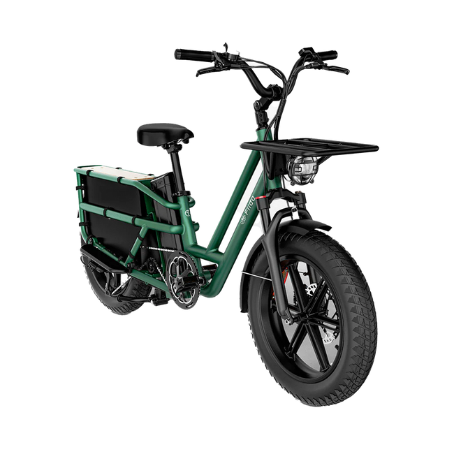 Fiido T2 Longtail Cargo E-bike